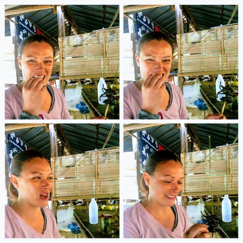 Julie ăn ếch chiên tại Thái Lan. Ảnh: Insatiable Travel.