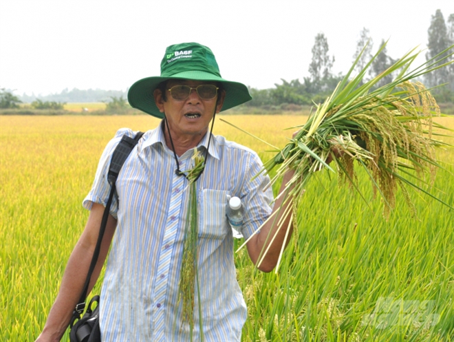 'Cha đẻ' gạo ST25 Hồ Quang Cua: Gạo được đăng ký thương hiệu ở Mỹ là điều tốt - 1