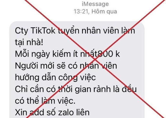 Một tin nhắn lừa đảo giả mạo TikTok.