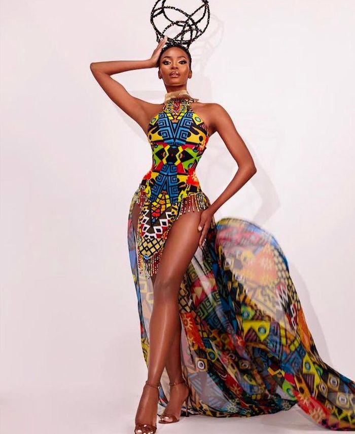 Trước khi trở thành Hoa hậu Nam Phi, Mswane là người mẫu độc quyền với công ty Alushi Models danh tiếng tại quê nhà. Mswane bắt đầu sự nghiệp tại các đấu trường nhan sắc sau khi tham gia cuộc thi Matric Experience 2015. Lần đầu đi thi, người đẹp đã giành ngôi vị Á hậu 1.