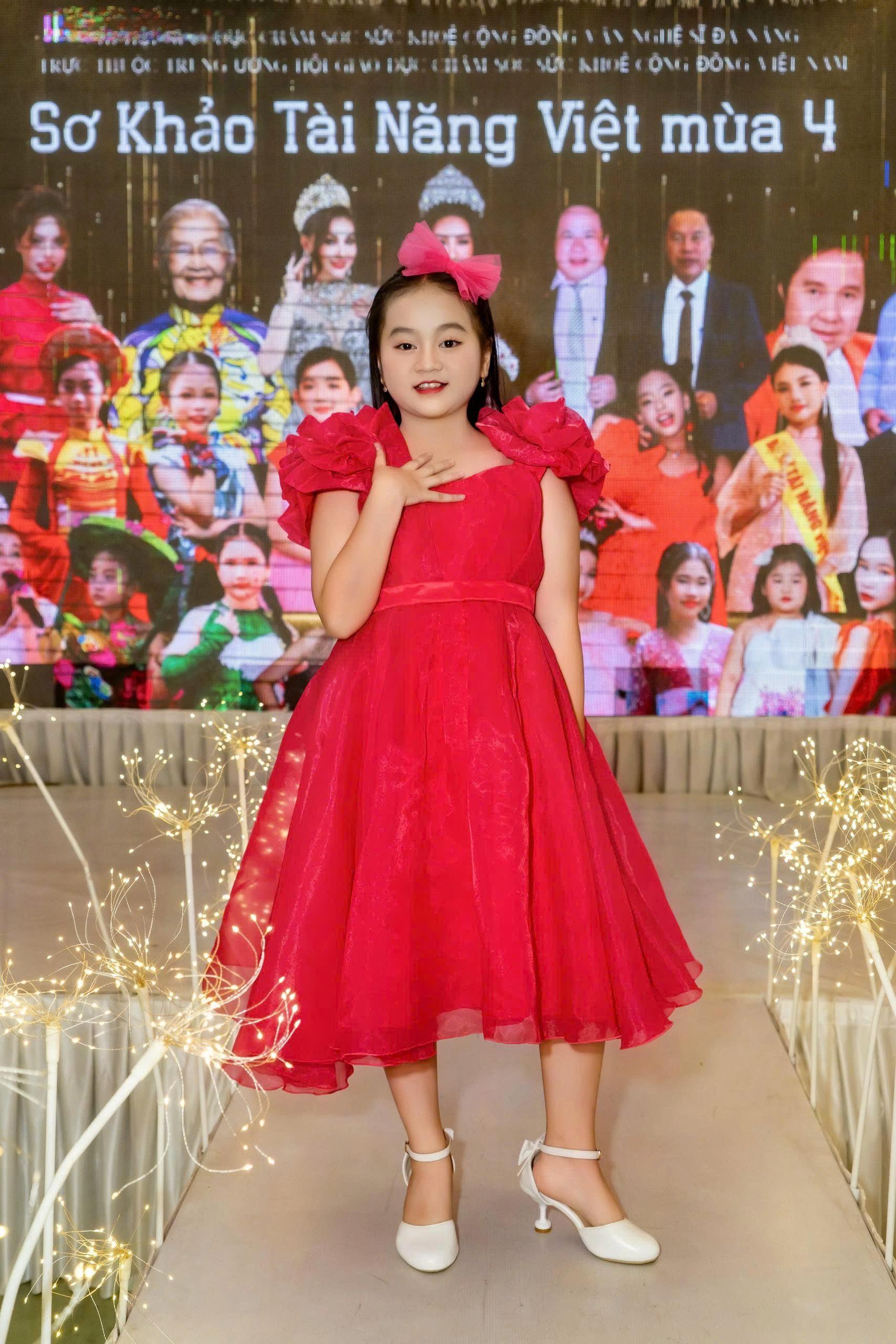 Mai Phương Nghi, Tài Năng Việt